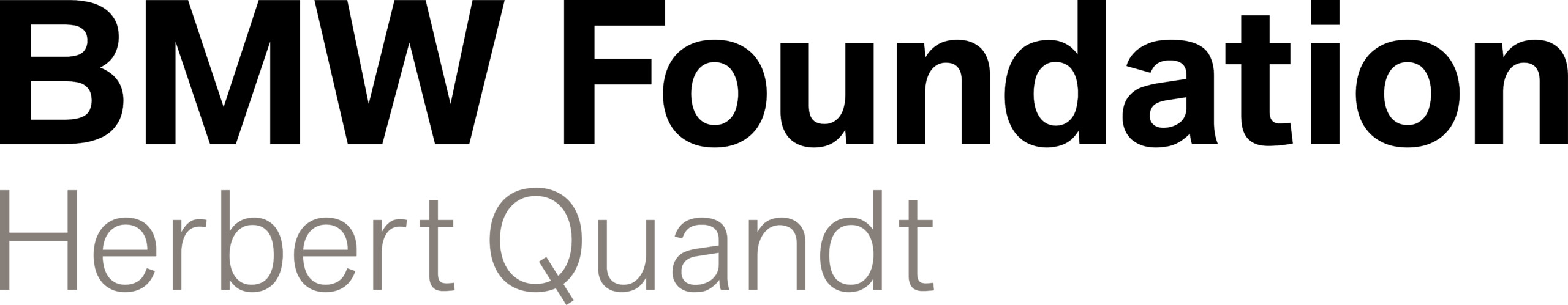 BMW Foundation logo